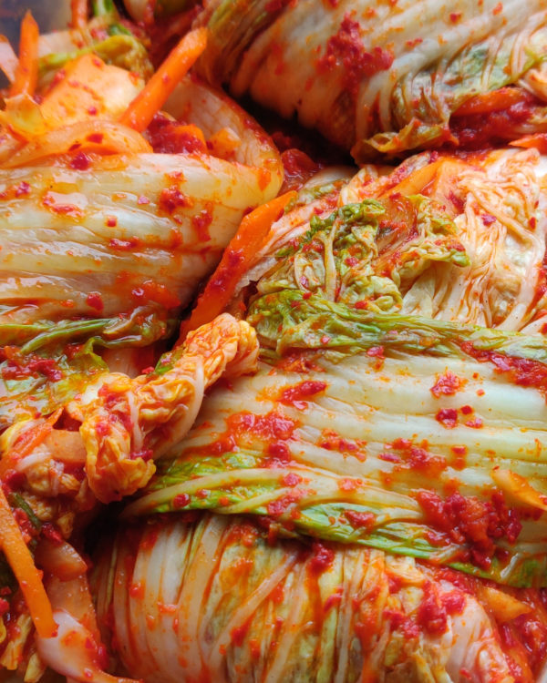 KIMCHI Homepage 1