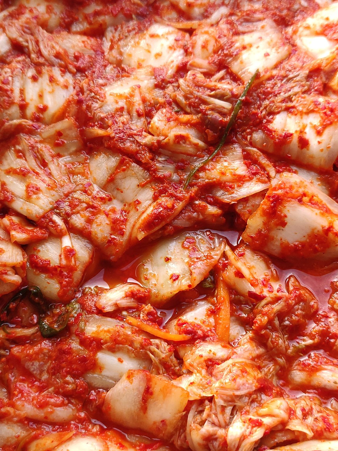 Fresh Kimchi – The Korean Pantry