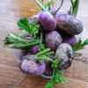 Turnip Kimchi - March 2023