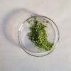 Green Malcha - Image 3